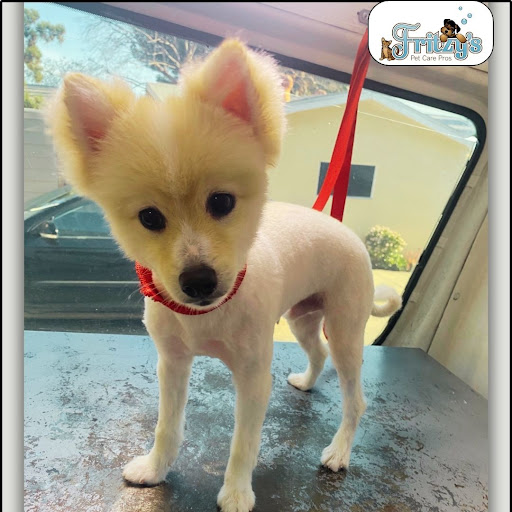 Fritzy's Pet Care Pros