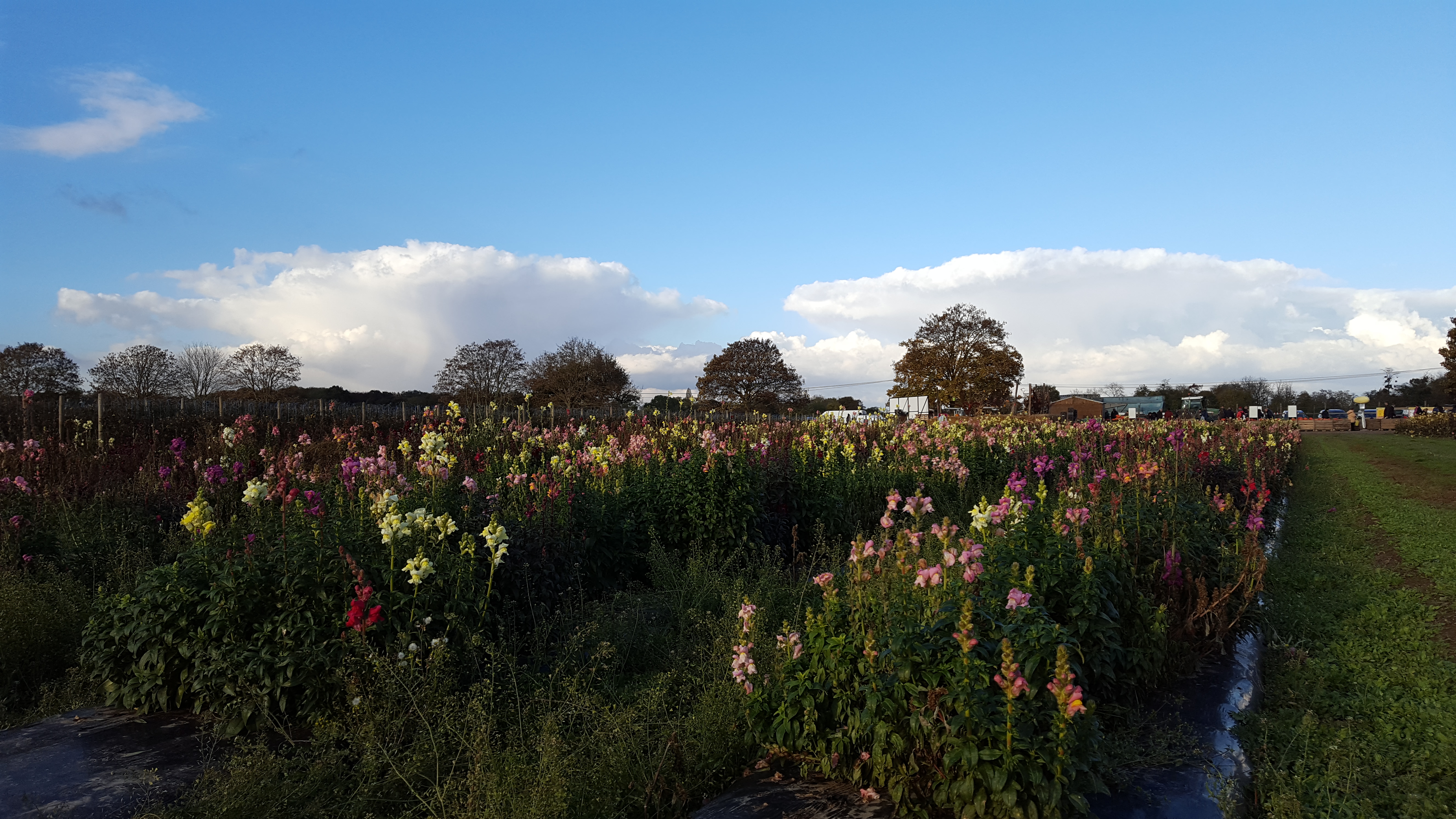 Photo n° 1 de l'avis de Aline.o fait le 08/11/2016 à 19:15
