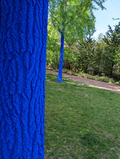 Museum «Peabody Essex Museum», reviews and photos, 161 Essex St, Salem, MA 01970, USA