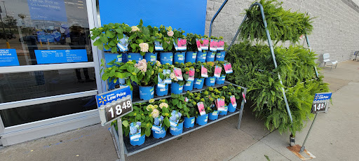 Department Store «Walmart Supercenter», reviews and photos, 150 Commerce Drive, Fairfield, IL 62837, USA