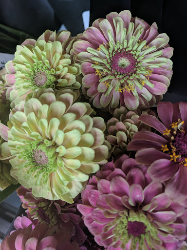 Florist «Austin Flower Co», reviews and photos, 1612 W 35th St, Austin, TX 78703, USA