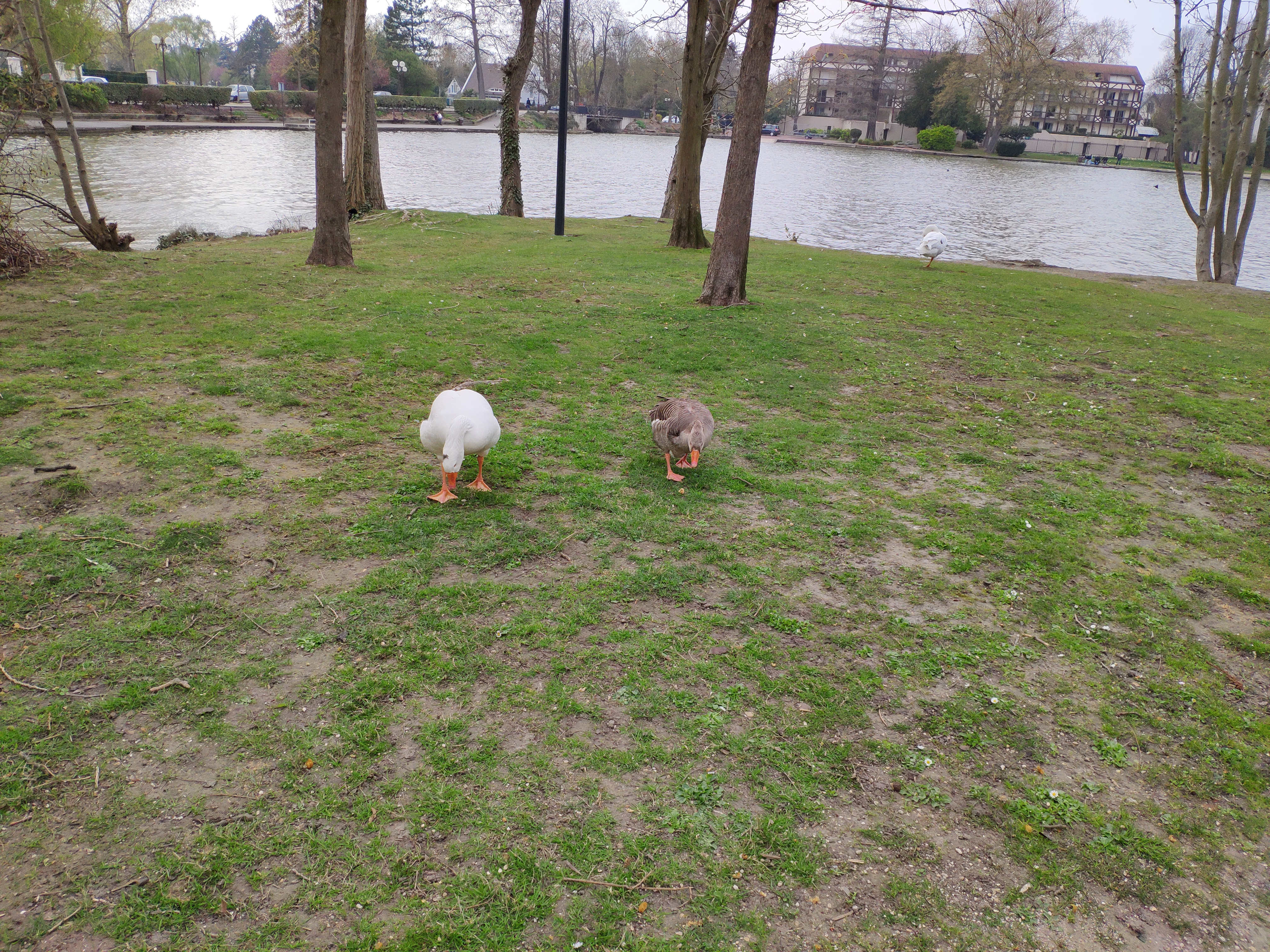 Photo n° 3 de l'avis de AXEL.R fait le 09/04/2019 à 18:06