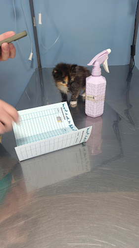 Horarios de Centro Veterinario Felican