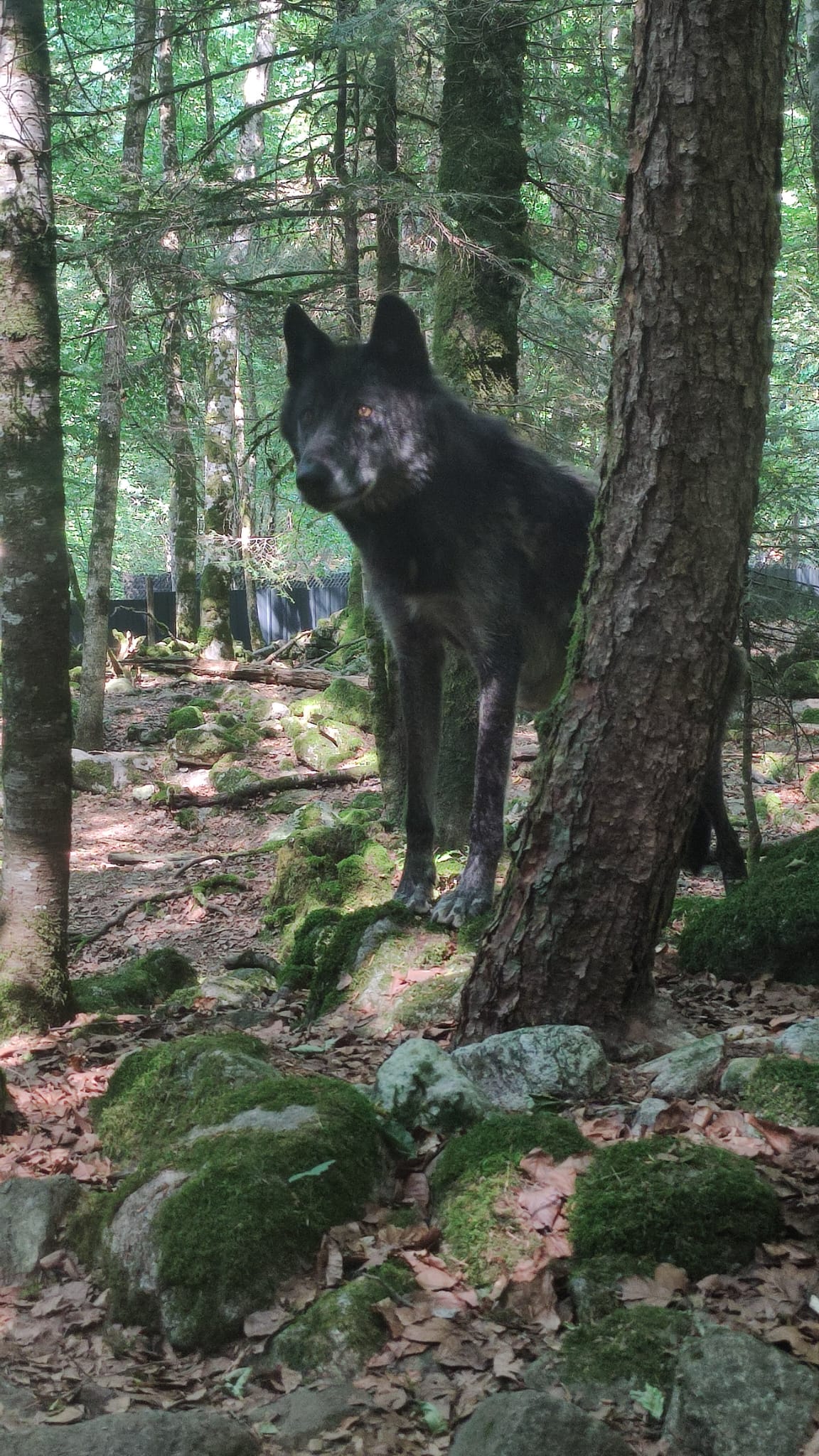Photo n° 1 de l'avis de Nenette.K fait le 24/07/2022 à 18:58