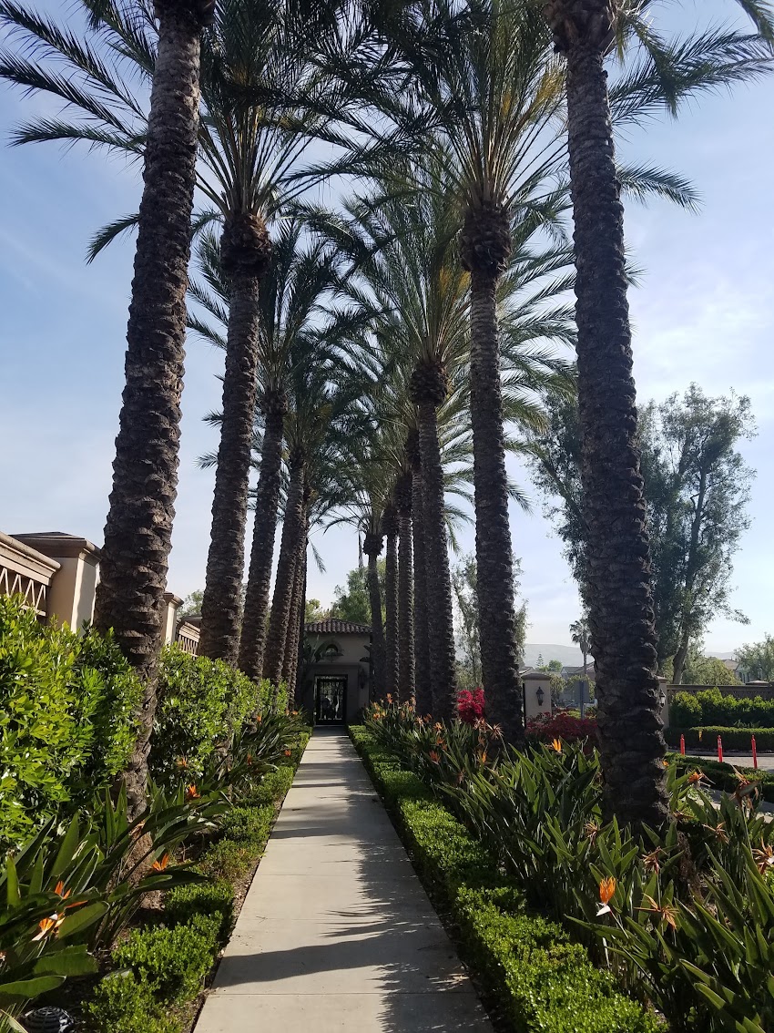 Photo of Northpark Pool in Irvine