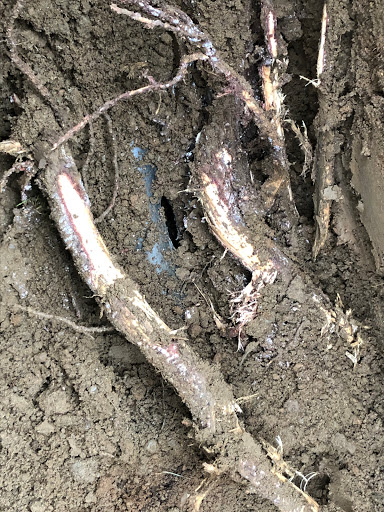 Plumber «Clark County Plumbing & Drain», reviews and photos, 1902 SE 6th Ave, Camas, WA 98607, USA