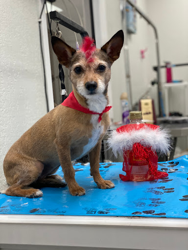 Pet Store «La Bone Pet Spa», reviews and photos, 8739 Stirling Rd, Cooper City, FL 33328, USA