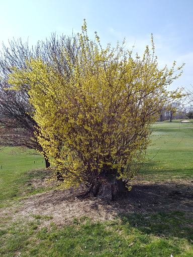 Golf Course «Douglaston Golf Course», reviews and photos, 6320 Marathon Pkwy, Douglaston, NY 11363, USA