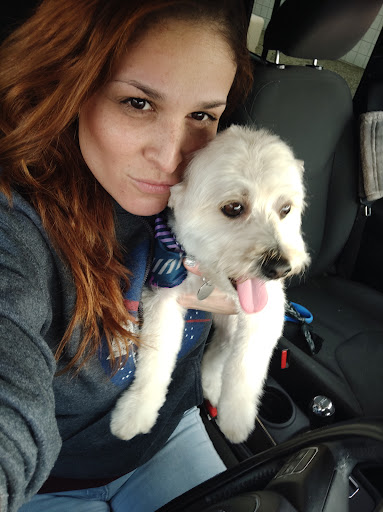 Pet Supply Store «PetSmart», reviews and photos, 7290 W Bell Rd, Glendale, AZ 85308, USA