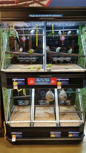 Pet Supply Store «PetSmart», reviews and photos, 2300 Gary Farm Blvd #600, Bowling Green, KY 42104, USA