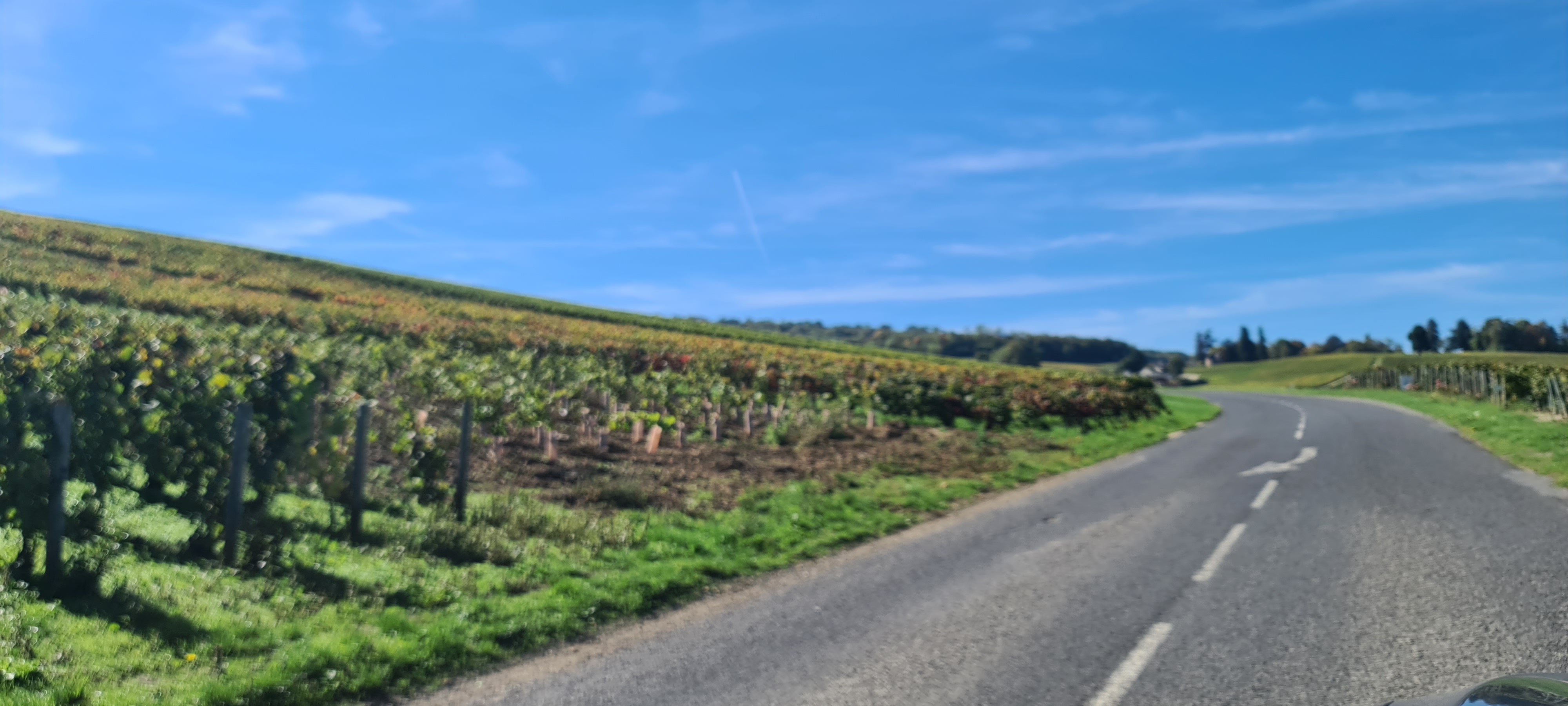 Photo n° 5 de l'avis de V... fait le 04/10/2022 à 16:31