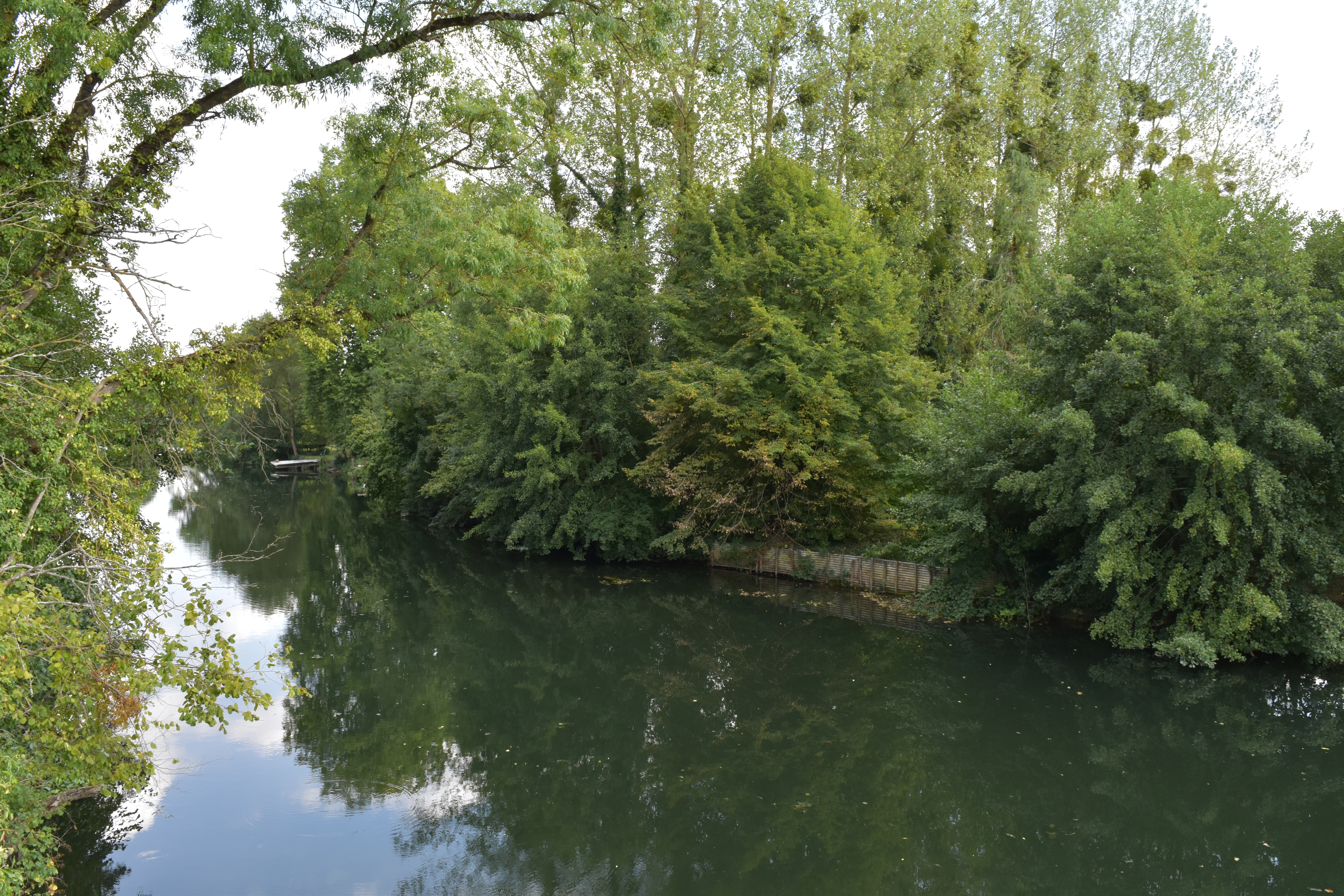 Photo n° 4 de l'avis de Sylvain.h fait le 04/09/2022 à 18:32