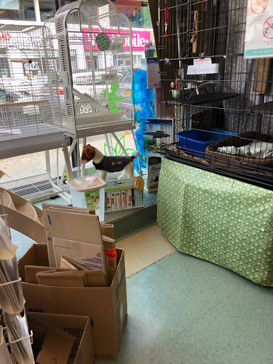 Pet Supply Store «Petland Discounts - Austin Street», reviews and photos, 70-44 Austin St, Queens, NY 11375, USA