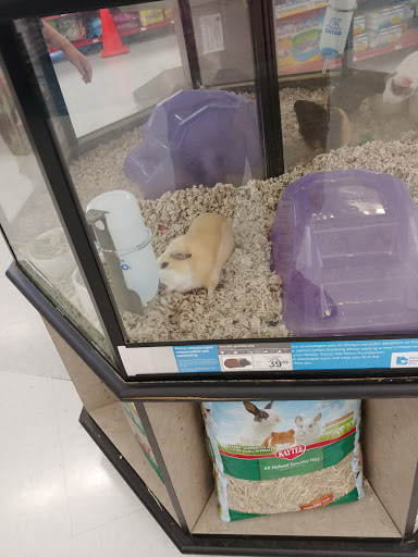 Pet Supply Store «Petco Animal Supplies», reviews and photos, 1540 Eastern Blvd, Montgomery, AL 36117, USA