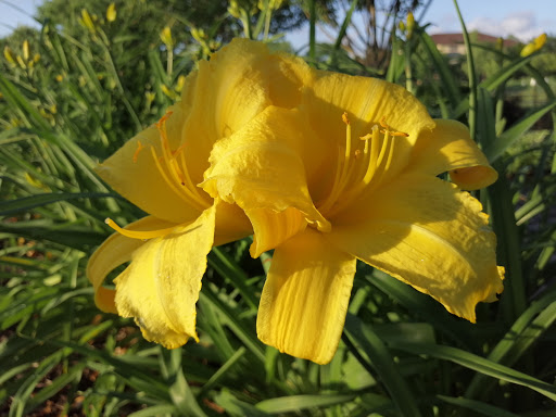 Park «Purgatory Creek Park Pavilion», reviews and photos, 13001 Technology Dr, Eden Prairie, MN 55344, USA