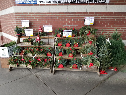 Supermarket «Big Y», reviews and photos, 1 E Silver St, Westfield, MA 01085, USA