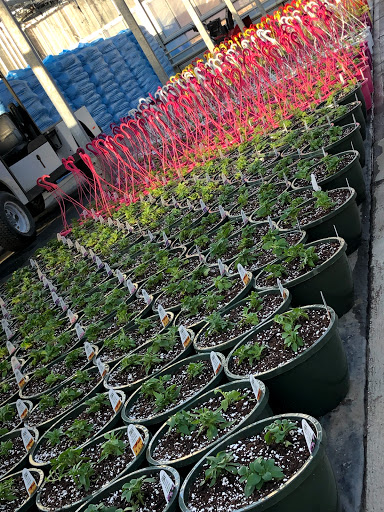 Florist «The Garden», reviews and photos, 155 Main St N, Woodbury, CT 06798, USA