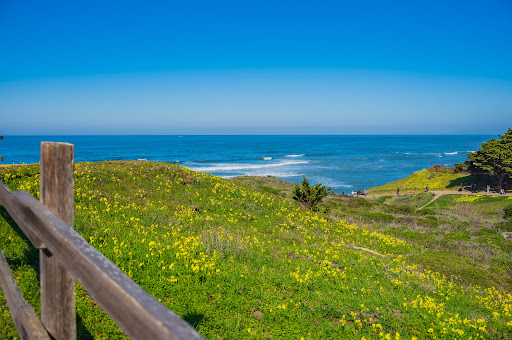 Nature Preserve «Fitzgerald Marine Reserve», reviews and photos, 200 Nevada Ave, Moss Beach, CA 94038, USA