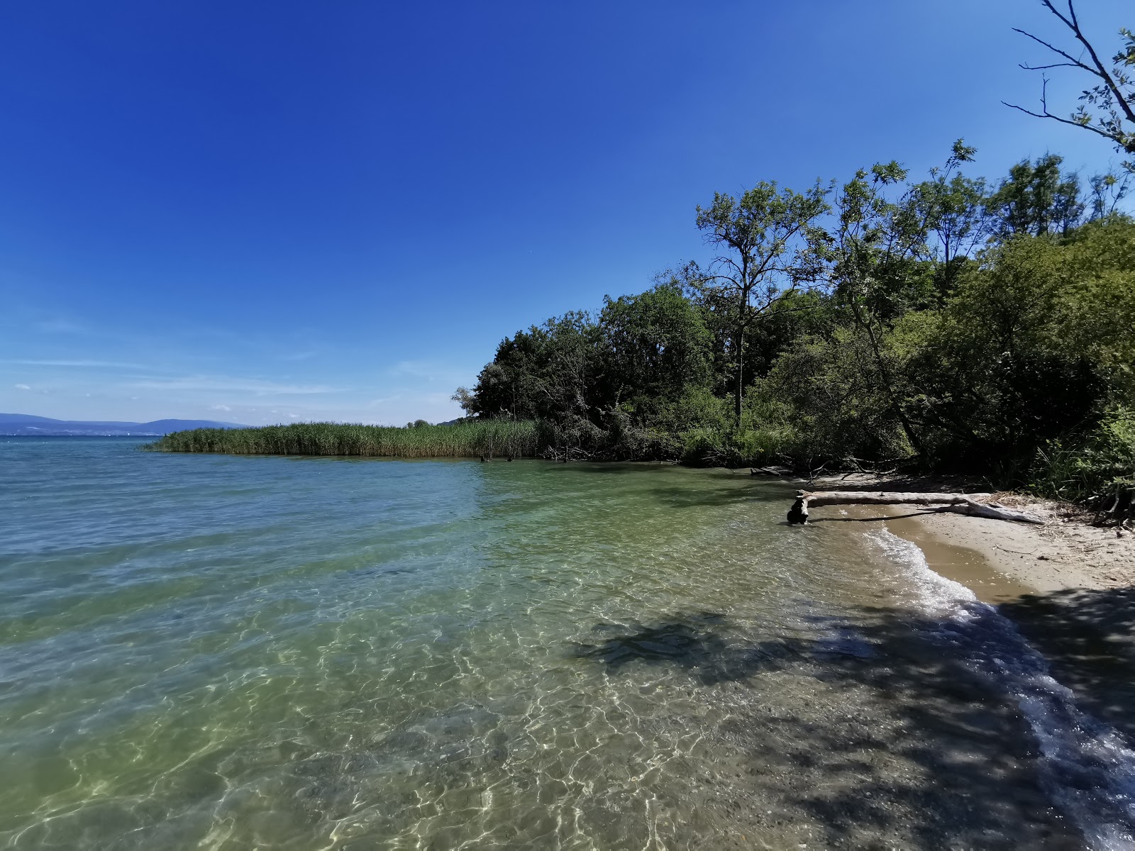 Fotografie cu Plage de la Petite Amerique cu o suprafață de nisip strălucitor