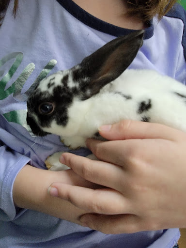 Pet Store «Pets Plus - Quakertown», reviews and photos, 117 S West End Blvd, Quakertown, PA 18951, USA