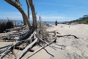 Driftwood Beach image