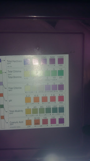 Hardware Store «Pinellas Central Ace Hardware LLC», reviews and photos, 12344 Seminole Blvd, Largo, FL 33778, USA