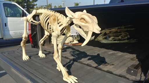 Discount Store «Big Lots», reviews and photos, 2727 N Grand Ave, Santa Ana, CA 92705, USA