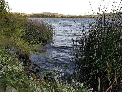 Park «Pena Adobe Regional Park», reviews and photos, 4699 Peña Adobe Rd, Vacaville, CA 95687, USA