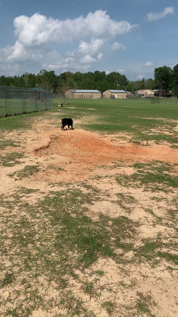 Fields of Barktopia