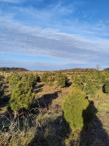 Farm «Abbey Farms», reviews and photos, 2855 Hart Rd, Aurora, IL 60502, USA