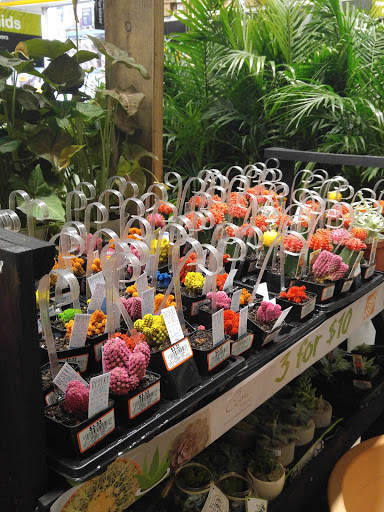 Home Improvement Store «The Home Depot», reviews and photos, 750 US-130, Robbinsville, NJ 08691, USA