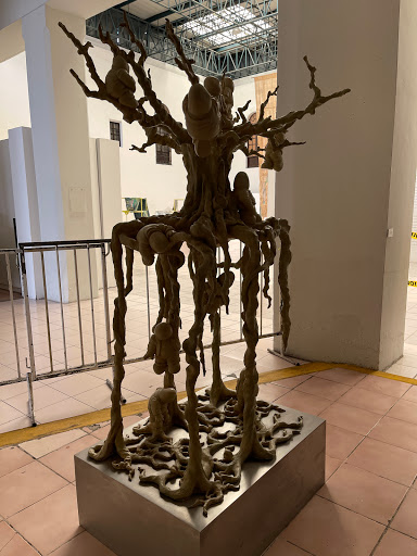 Museo de Arte Contemporáneo Ateneo de Yucatán MACAY - Fernando García Ponce