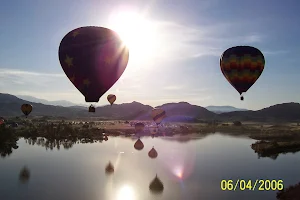 A Grape Escape Balloon Adventure image