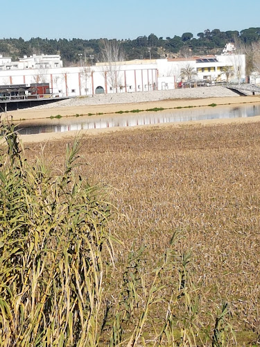 Avaliações doRecauchutagem Coruchense em Coruche - Comércio de pneu