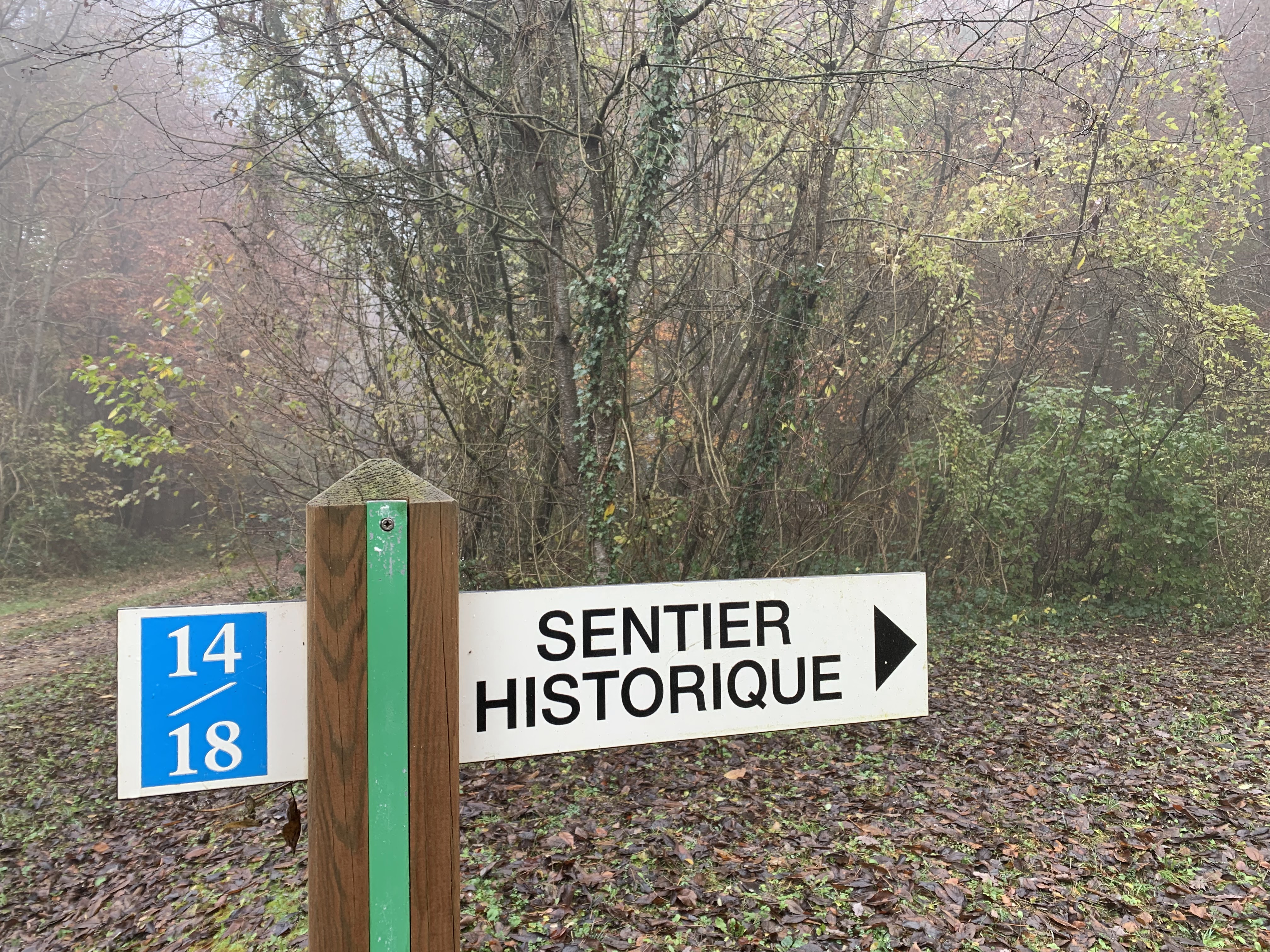Photo n° 1 de l'avis de David.O fait le 12/11/2021 à 19:51