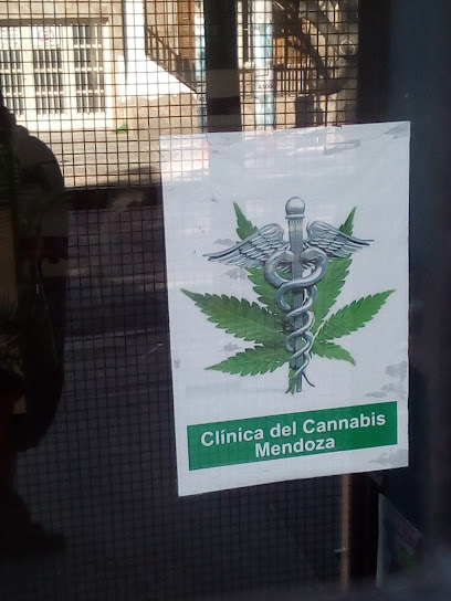 Clinica Del Cannabis Mendoza