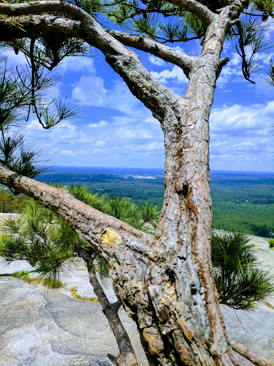 State Park «Stone Mountain Park», reviews and photos, 1000 Robert E Lee Blvd, Stone Mountain, GA 30083, USA