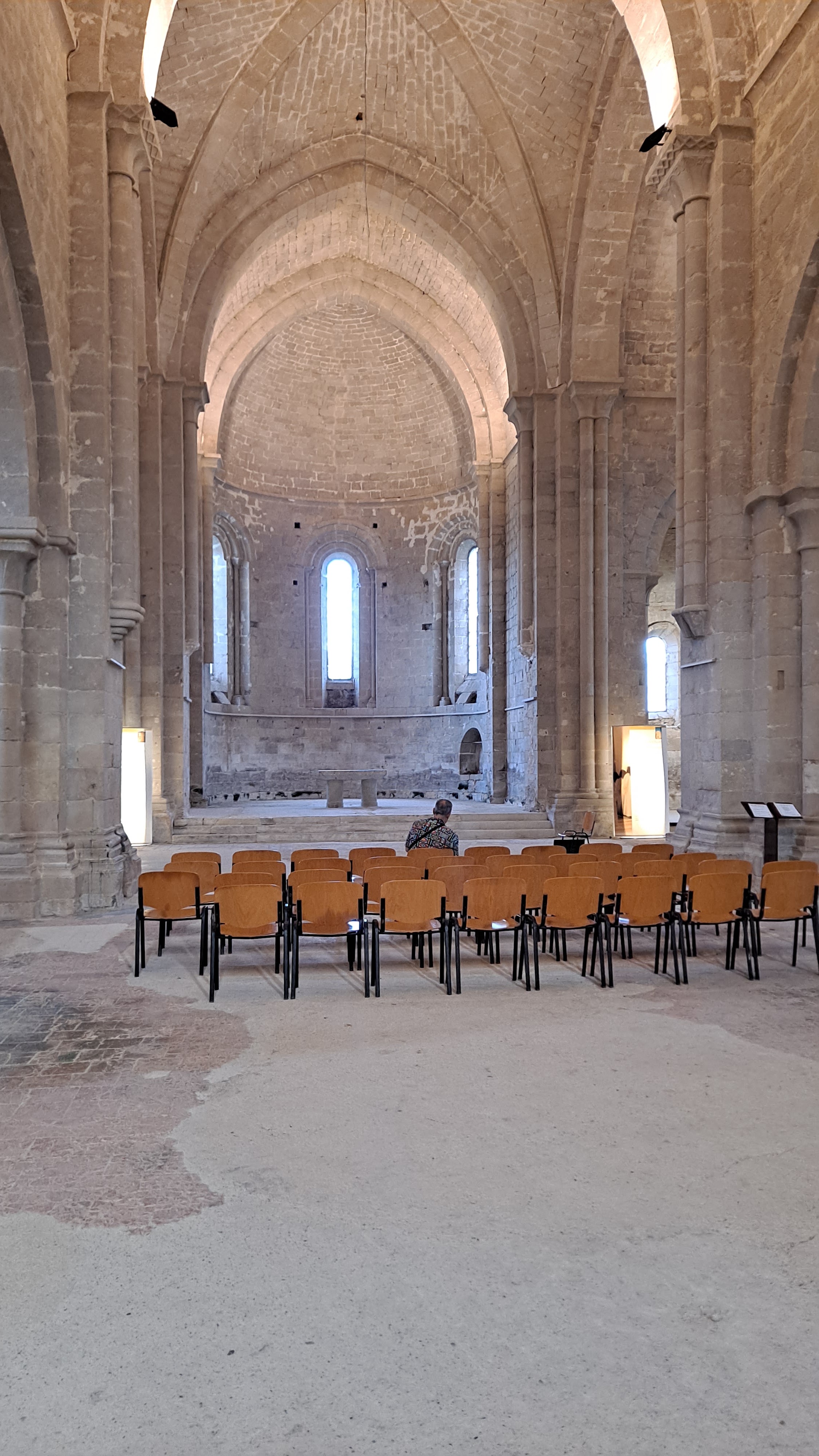 Photo n° 7 de l'avis de Jean-Michel.a fait le 10/10/2022 à 05:30
