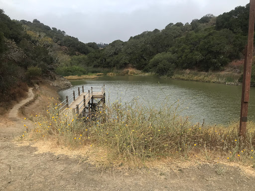 Water Dog Lake