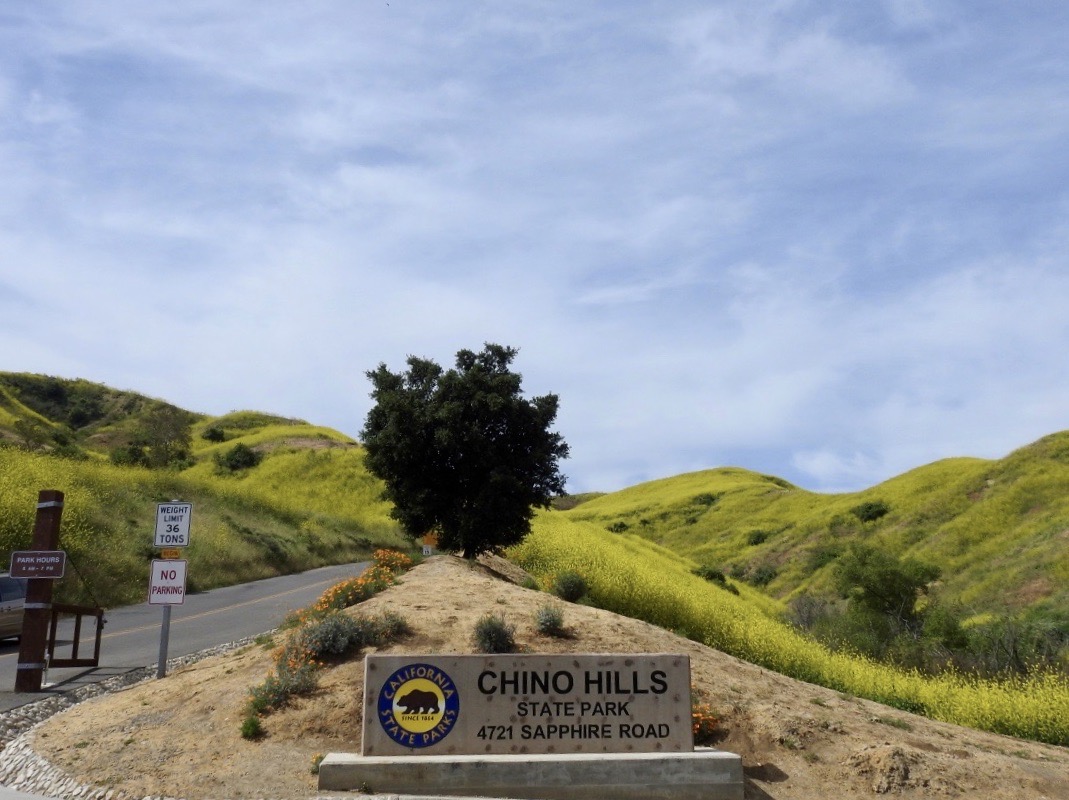 North Entrance of Chino Hills State Park