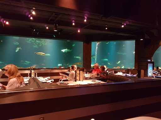 Aquarium «Shark Encounter», reviews and photos, 7007 Sea World Dr, Orlando, FL 32821, USA