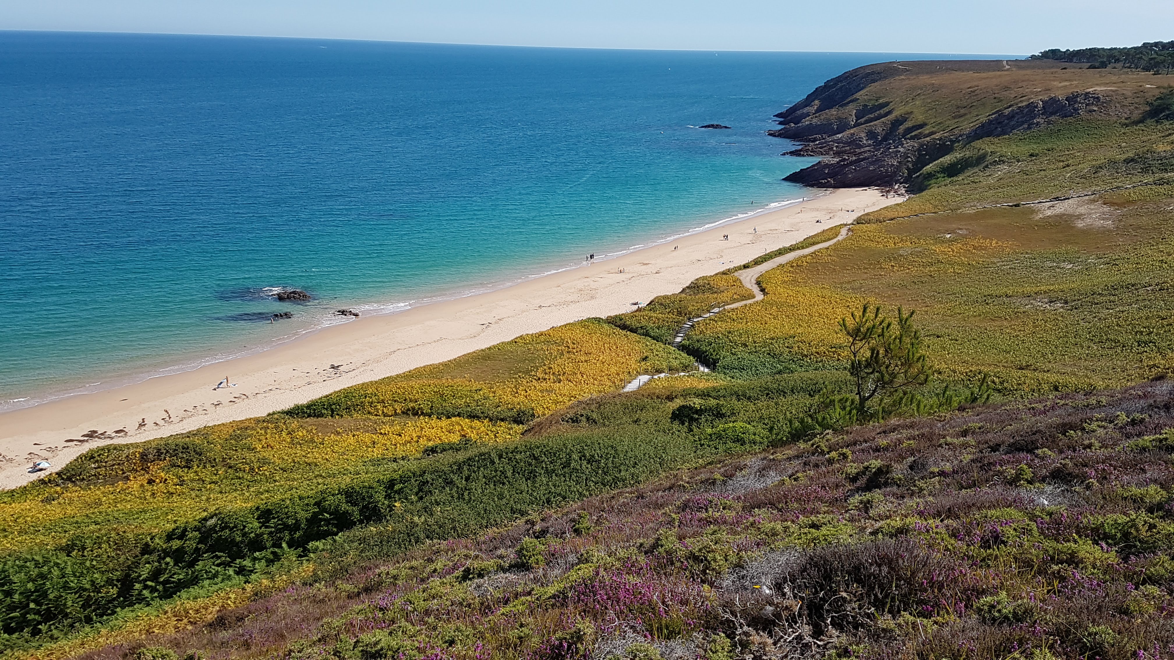 Photo n° 3 de l'avis de Corwin. fait le 17/07/2022 à 17:32