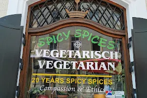 Spicy Spices Salzburg - Vegetarisches Bio Restaurant image