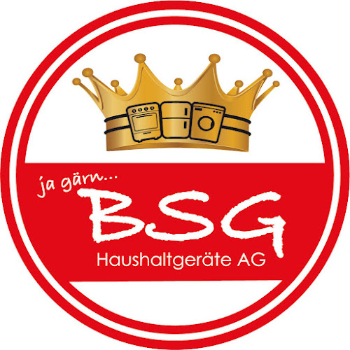 BSG Haushaltgeräte AG - Thun