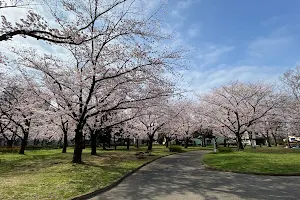 Higashi-Ayase Park image