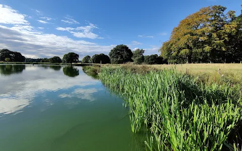 Tatton Mere image