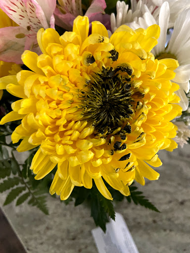 Florist «Bokay Florist», reviews and photos, 5255 Beechnut St, Houston, TX 77096, USA