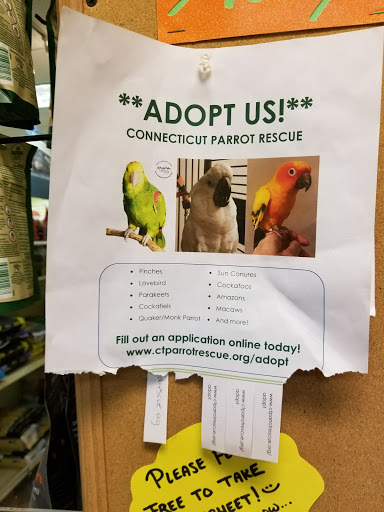 Pet Supply Store «H3 Pet Supply», reviews and photos, 475 Hawley Ln, Stratford, CT 06614, USA