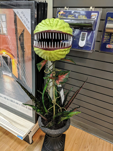 Craft Store «Michaels», reviews and photos, 846 N E Mall Blvd, Hurst, TX 76053, USA