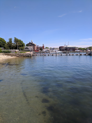 Aquarium «Woods Hole Science Aquarium», reviews and photos, 166 Water St, Woods Hole, MA 02543, USA